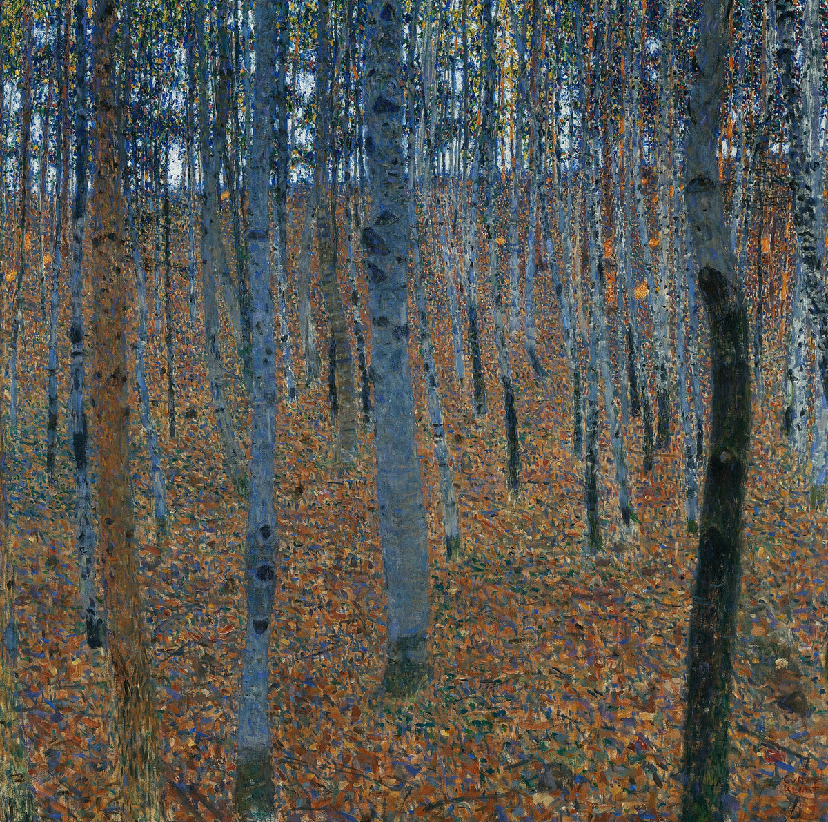 Forest